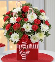 Christmas Flowers in present vase