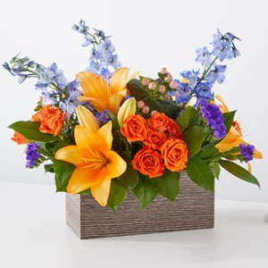 Radiant Citrus Box
