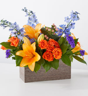 Radiant Citrus Box