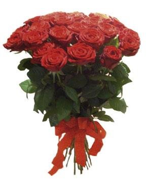Bouquet of Roses