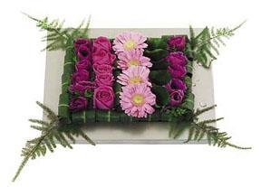 Flowers in Array