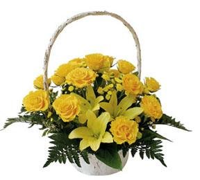 Arrangement of Cut Flowers