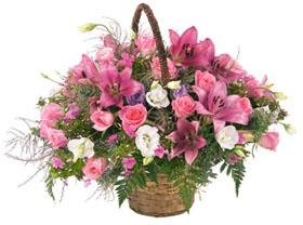 Arrangement in Pink