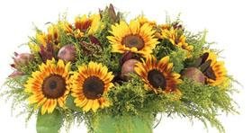 Summer Bouquet