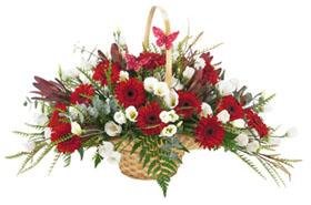 Obelisk Basket