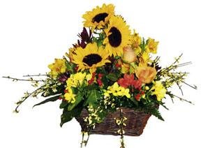 Arrangement of Summer Mixed Flowers