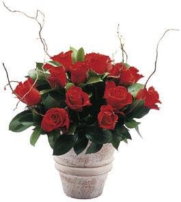 Red Rose Arrangement