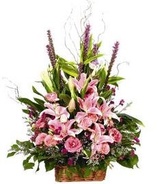 Arrangement