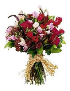 Mixed Cut Flowers