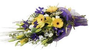 Cut Flowers