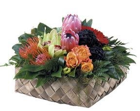 Pacific Basket