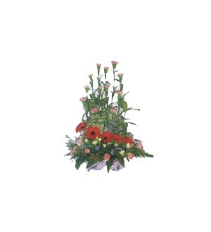 Mixed Arrangement