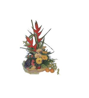 Fruits & Flowers