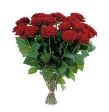 Bouquet of Roses