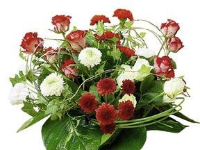 Celebration Arrangement