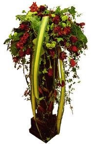 Royal Flower Arrangement