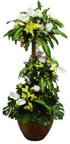 Royal Plant with Flowers