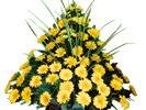 Funeral Arrangement