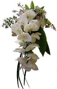Bouquet of Mixed Cut Flowers