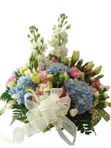 Basket Arrangement