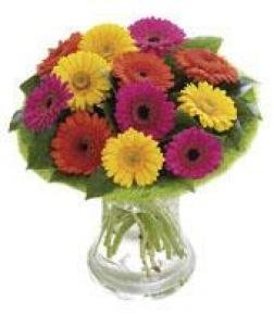 Gemini Perfect Gift