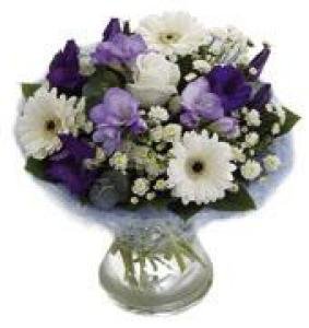 Blue Perfect Gift