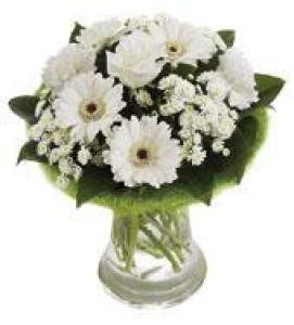 White Perfect Gift