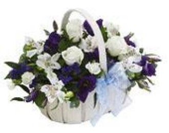 Baby Boy Basket with Bear