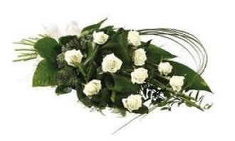 Cream Classic Rose Sheaf