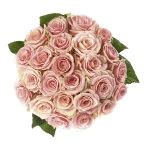 Bouquet of 25 Roses