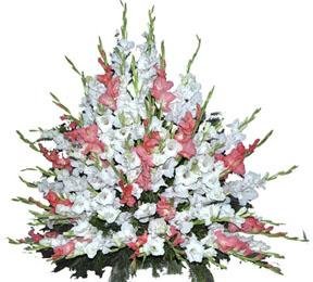Wedding Arrangement