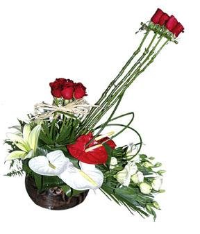 Arrangement of Cut Flowers