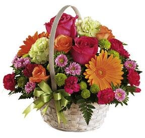 The FTD? Summer in the Park? Basket