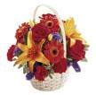 The FTD? Fun in the Sun? Basket