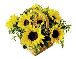 The FTD? Sunflower Basket