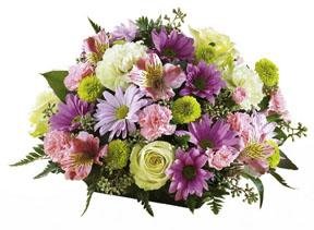 The FTD? Naturally Nice? Arrangement
