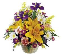 The FTD? Natural Wonders? Bouquet