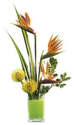 The FTD� Tropical Bright? Arrangement