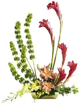 The FTD? Touch of Tropics? Arrangement