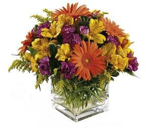 The FTD? Wonderful Wishes? Bouquet