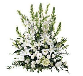 The FTD? Morning Stars ? Arrangement