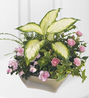 The FTD� Garden of Grace� Planter