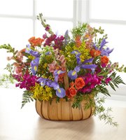 Garden of Life Basket