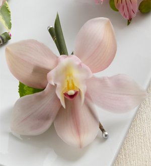 The FTD� Pink Cymbidium Boutonniere