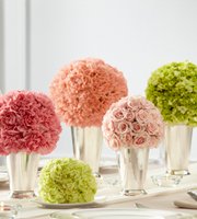 The FTD� Bridesmaid's Garden� Centerpiece