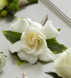The FTD� Gardenia Boutonniere